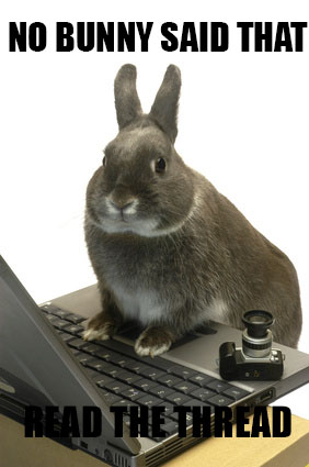 Illustration for article titled No Bunny Said That: A BUNNY BOMB POST